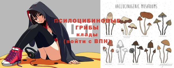 твердый Зерноград