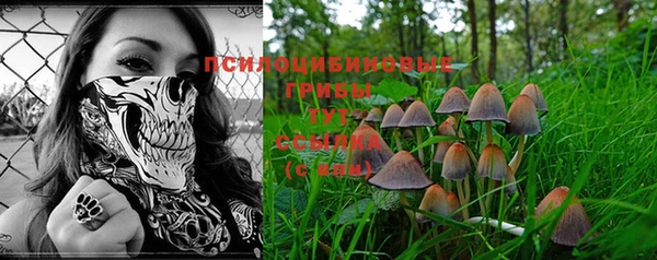 прущая мука Зеленодольск