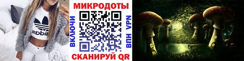 Купить где  Сясьстрой  Галлюциногенные грибы ЛСД 